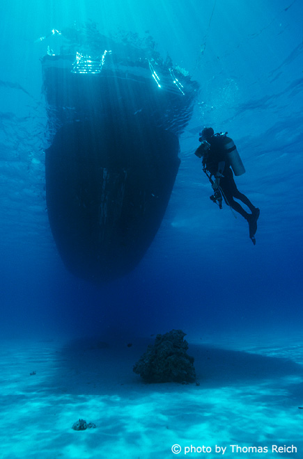 Diver and liveaboard vessel in the Red Sea