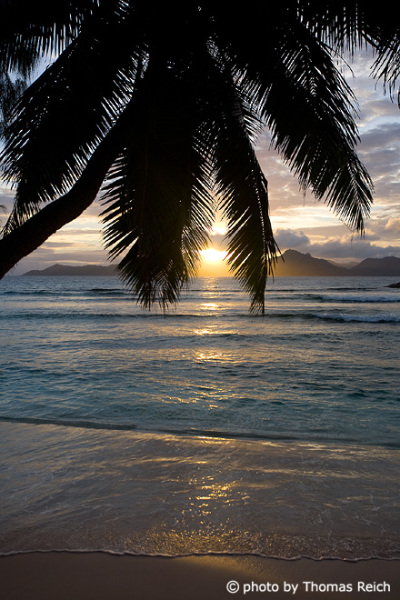 Sonnenuntergang Palmenstrand, La Digue, Seychellen
