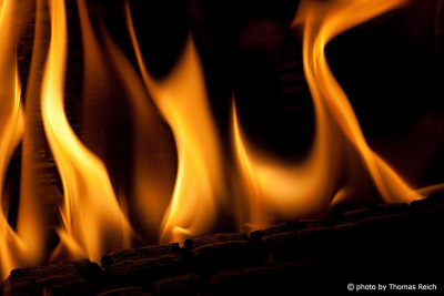 Flames in the fire place