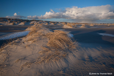 Amrum travelling dune