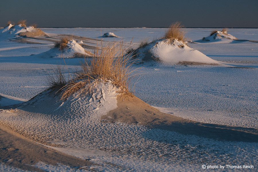 Dunes Amrum Winter
