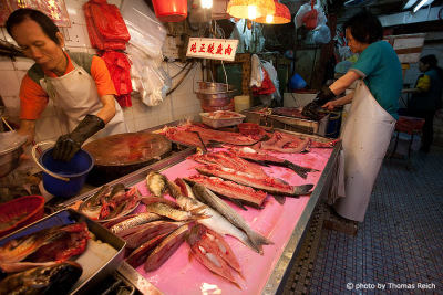 Fisch Märkte in Kowloon