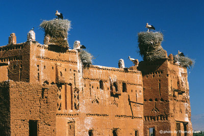 Storchennester auf Kasbah in Marokko