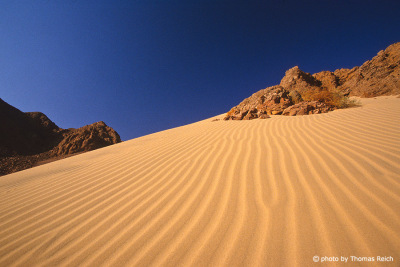 Sand Dunes Sinai Desert