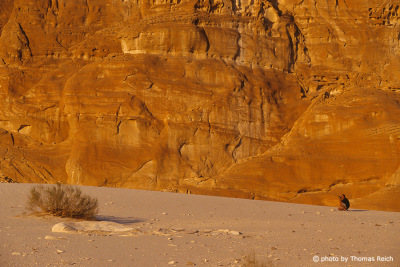 Wandern Sinai Halbinsel