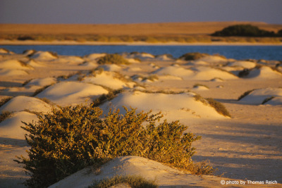 Sanddünen Landschaft, Südägypten