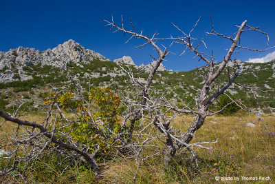 Hiking and climbing Nationalpark Paklenica in Croatia