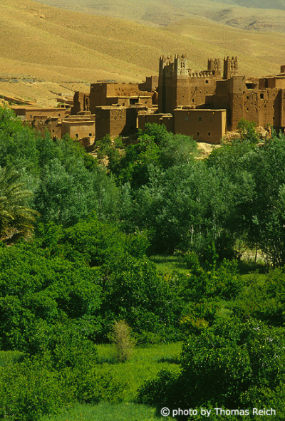 Kasbah and oasis in Morocco