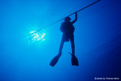 Diver underwater, Buma Banks