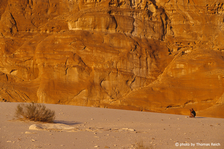 Hiking Sinai Peninsula