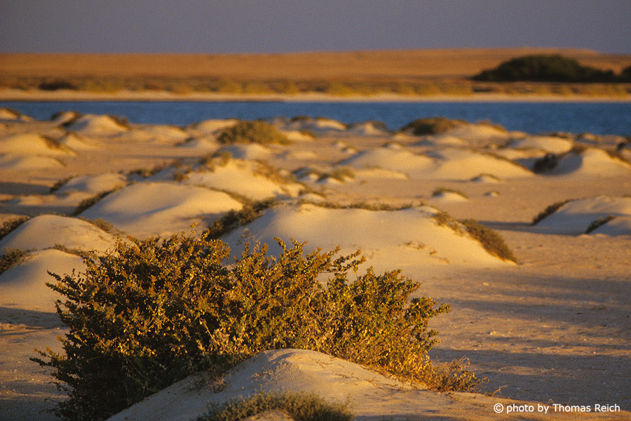 Sanddünen Landschaft, Südägypten
