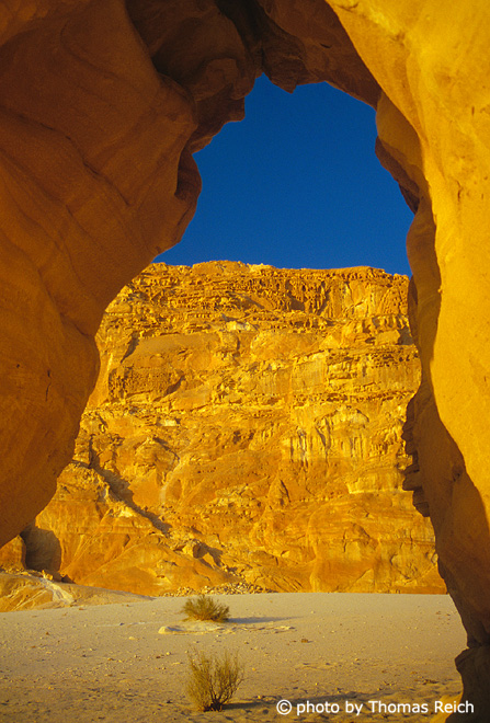 Desert Tours Sinai