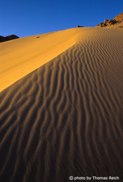 Dune in the desert, Sinai