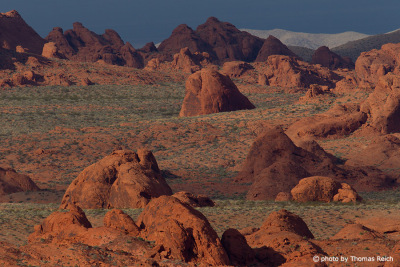 Landscape Valley of Fire, Nevada