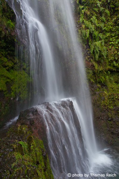 Caldeirão Verde Wasserfall Madeira