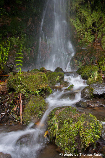 Wasserfall im Wald, Caldeirão Verde