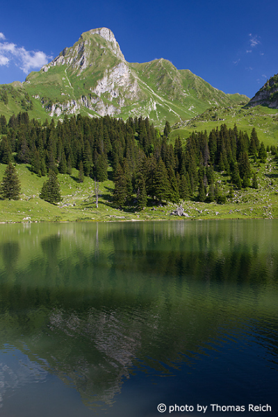 Gantrisch lake in summer, Bernese Oberland
