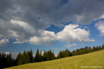 Clouds over cow pasture