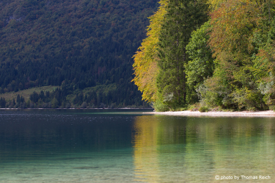 Lake Bohinj Slovenia
