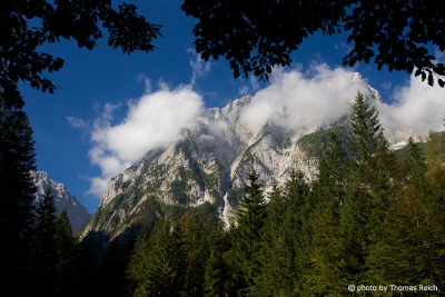 Urwälder in Slowenien