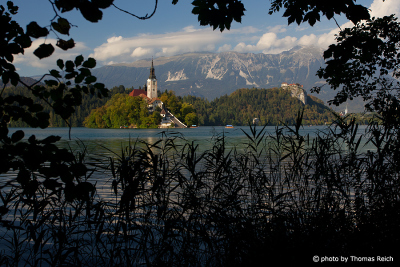 Insel Blejski Otok mit Marienkirche Slowenien