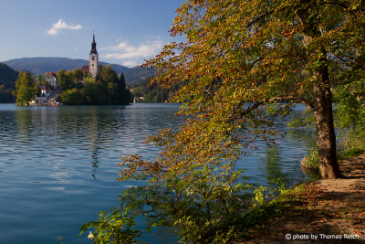 Church of the Mother of God, Bled Island Slovenia