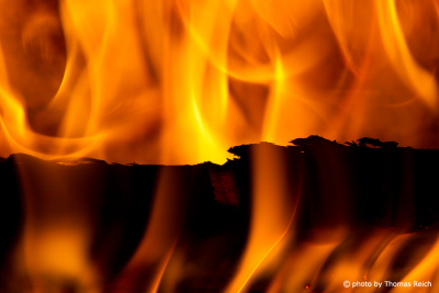 Flames wood burning stove