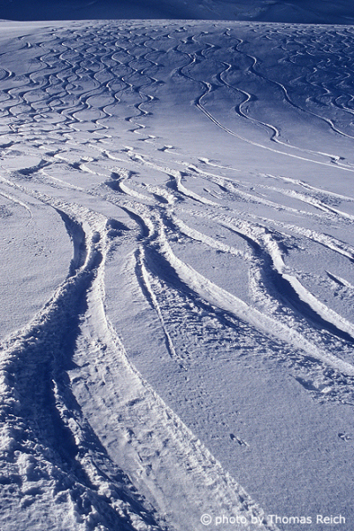 Ski tracks in deep snow