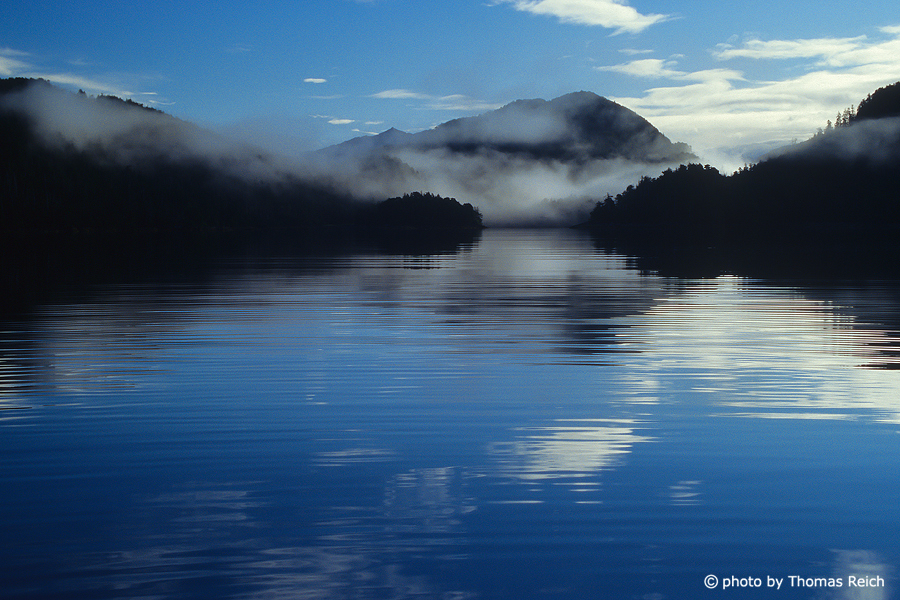 Fjord im Morgennebel Alaska