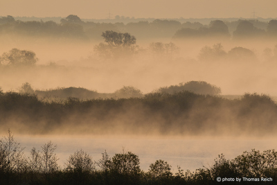 Morning mist over lake Malchin