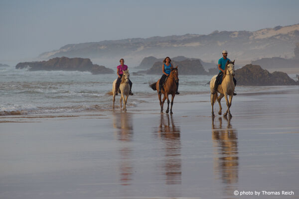 Horseback riding at the beach in Portugal
