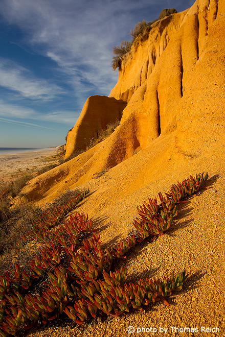 Sandstone Southwest coast Portugal