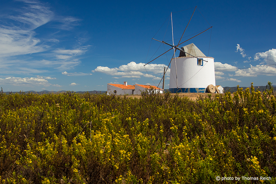 Windmühle in Alentejo, Portugal