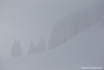 Wintermärchenwald im Nebel