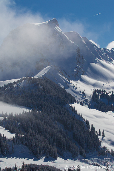 Schneeschuhwandern Gantrisch Schweiz