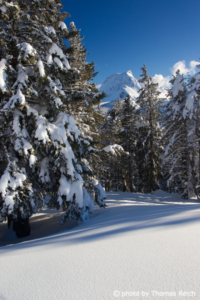 Gantrisch area in Winter