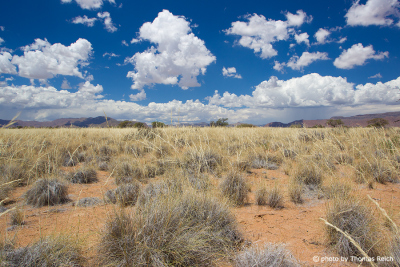 Weite Landschaft im Namib Naukluft Park