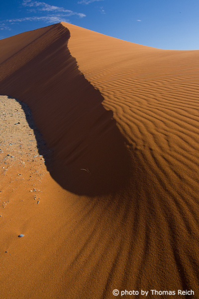 High sand dunes Sossusvlei