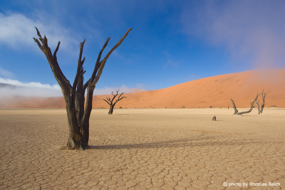 Landscape Deadvlei Namibia