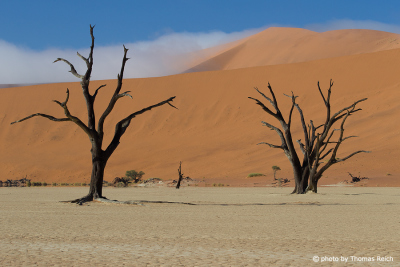 Hiking around Dead trees and dunes Deadvlei