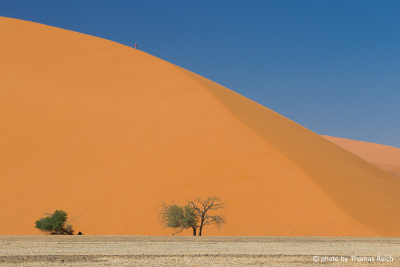 Dune 45, Sossusvlei Namib