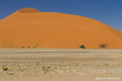 Sand dune 45, Sossusvlei Namibia