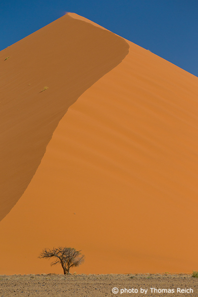 Sossusvlei - highest dunes in the world made of red sand