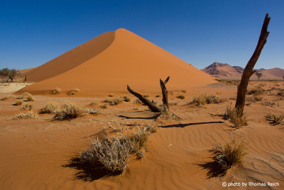 Wüste in Afrika