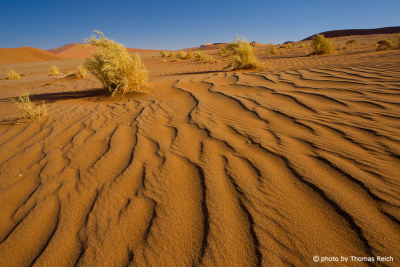 Sand Rillen Wüste Sossusvlei