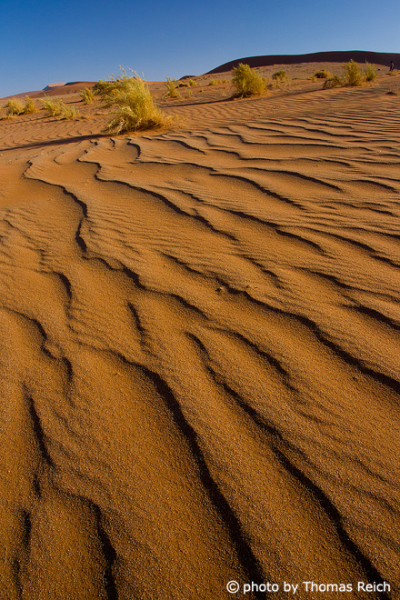 Sand Rills in the desert, Sossusvlei