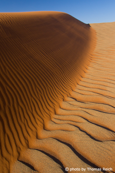 Wave patterns in the sand