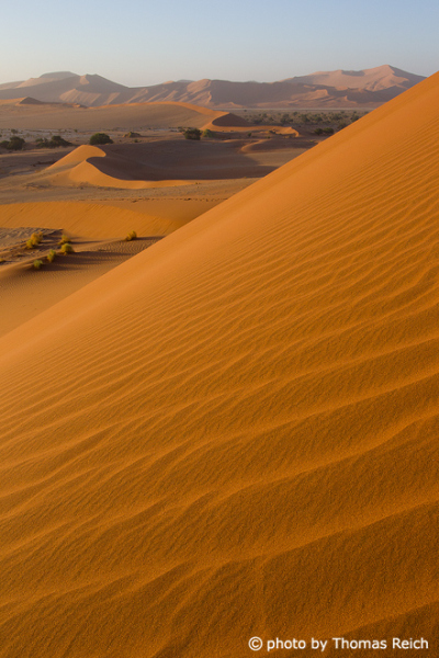 Sossusvlei dunes