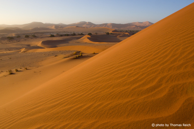 Namib-Dünenmeer Sossusvlei