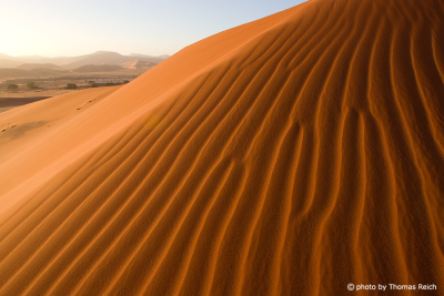 Sossusvlei Namib Sand Sea